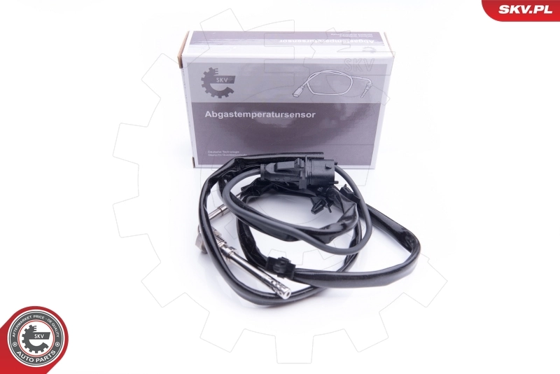 Sensor, exhaust gas temperature